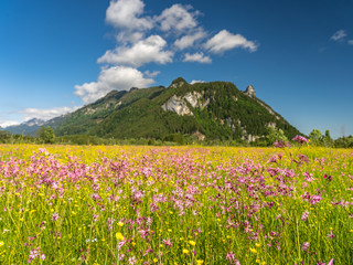 Obraz premium ettaler weidmoos in ammergauer alps, germany
