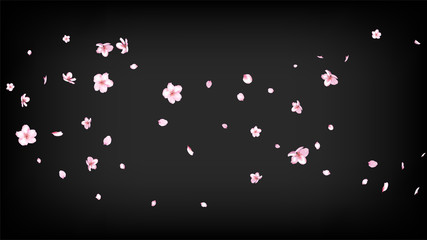 Nice Sakura Blossom Isolated Vector. Magic Falling 3d Petals Wedding Paper. Japanese Blurred Flowers Illustration. Valentine, Mother's Day Magic Nice Sakura Blossom Isolated on Black