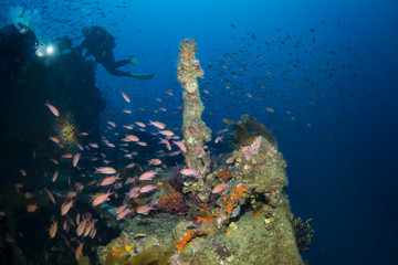 Fototapeta na wymiar Wreck sea of Donator (Prosper Schiaffino), mediterranean sea.