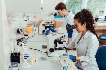 Intelligent professional biologists sitting at the microscopes