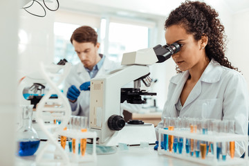 Smart female biologist looking into the microscope - obrazy, fototapety, plakaty