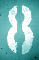 Number 8 in stencil on grungy metal wall in cyan tone.