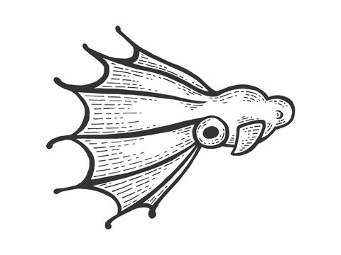Vampire squid sea water animal sketch engraving vector illustration. Scratch board style imitation. Black and white hand drawn image.