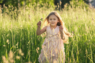 little girl with long hair in a beautiful dress on the nature in summer
