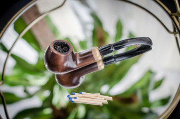 Fajka © PIOTR JARCZYKOWSKI