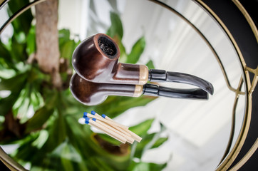 Fajka © PIOTR JARCZYKOWSKI