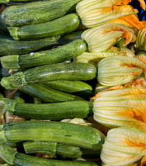 Young Zucchini With Flowers on a farmers market