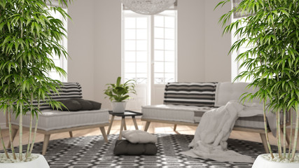 Zen interior with potted bamboo plant, natural interior design concept, scandinavian minimalist living room with big windows and carpet, contemporary modern architecture concept idea