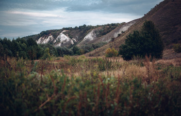 beautiful landscape with grass, trees and hills