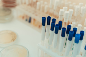 Top view of different white test tubes
