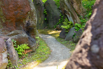 旧芝離宮恩賜庭園の小道