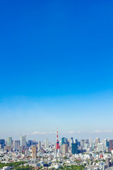 Fototapeta premium 東京都の都会の街並み
