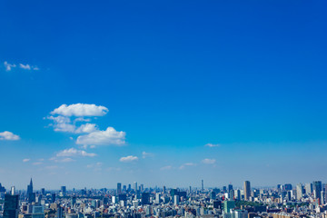 Obraz premium Pejzaż Tokio