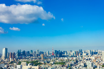 Fototapeta na wymiar 東京都の都会の街並み
