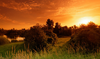 Episy swamp nature reserve in the French Gâtinais regional nature park