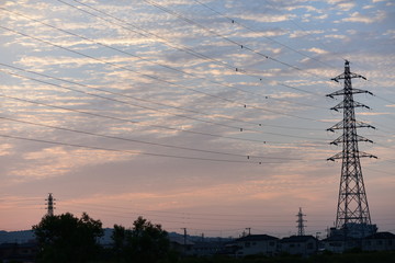 朝日