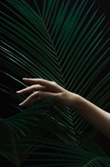 Female hand with palm leaves on a black dark background. Dark light, stylish beauty composition.