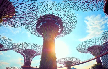 Fototapeten Gardens by the Bay  with Supertree in Singapore © badahos