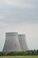 Centrale nucleare in mezzo alle risaie
