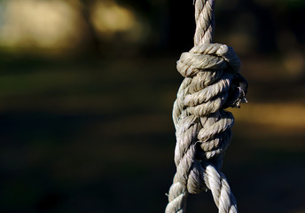 Complicated knot of rope