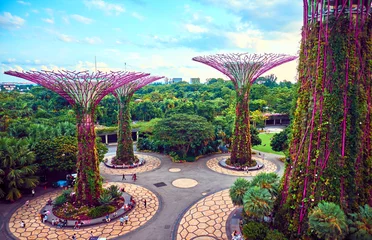 Foto op Plexiglas Gardens by the Bay met Supertree in Singapore © badahos