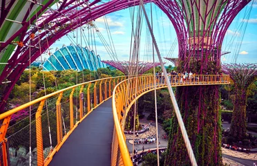 Foto op Aluminium Gardens by the Bay  with Supertree in Singapore © badahos