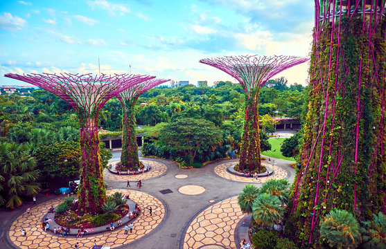 Gardens by the Bay  with Supertree in Singapore