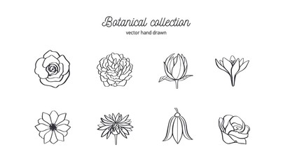 Vector hand drawn set of wild flowers. Roses, peony, anemone and other. Doodle style botanical illustration. Isolated objects on white © Wild Muse