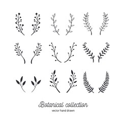 Vector hand drawn vintage floral elements. Set of forest doodle flowers and brunches for Wedding, Birthday and cards decor