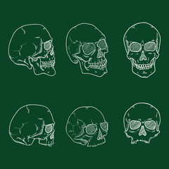 Vector Set of Chalk Hand Drawn Sketch Human Skull. Headbones Collection.