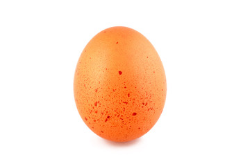 Single brown chicken egg closeup isolated on white background