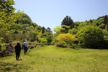 花　風景