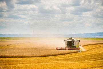 Combine harvester in action on wheat field. Harvesting is the process of gathering a ripe crop from the fields.