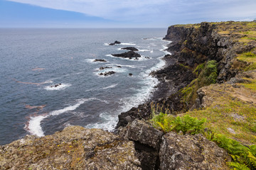 Obraz premium Coast at Capelas on Sao Miguel Island, Azores