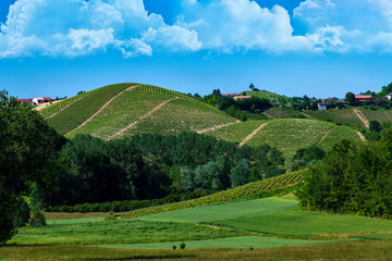 Vineyards and woods on the hill side Monte Dell'Olmo located in the municipality of Vinchio Piemonte Italy