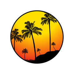 Obraz premium Summer tropical border with palm trees silhouette