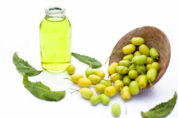 Fresh green neem fruit of Indian Lilac fruit in a clay bowl isolated on white along with its oil in a transparent glass bottle.Horizontal shot.