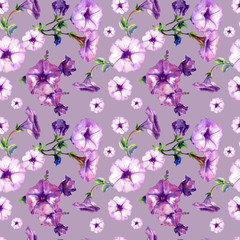 Watercolor seamless pattern of Petunia flowers.
