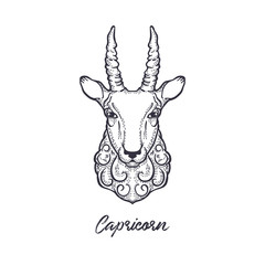 Capricorn zodiac sign. The symbol of the astrological horoscope. Hand-drawn illustration.