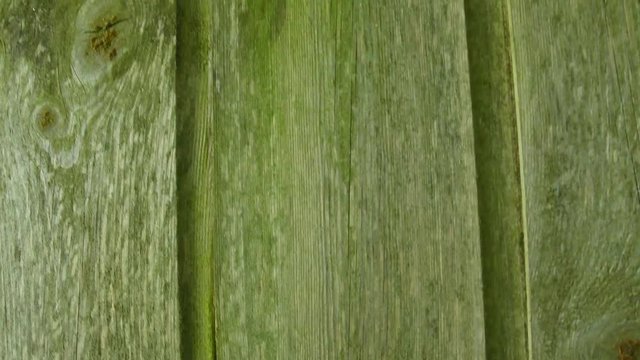 nichoir 