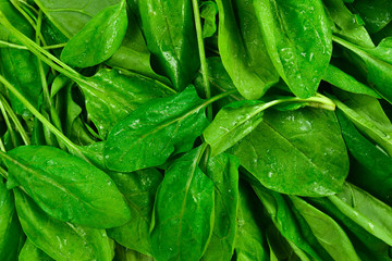Fresh spinach leaves as background.