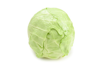 Fototapeta premium Cabbage isolated on white background.