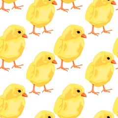 Chicken pattern