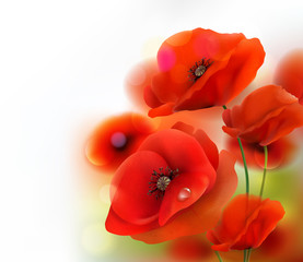 Obrazy na Szkle  Tło czerwony kwiat maku. Ilustracja wektorowa