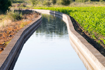 water canals for irrigation in corn fields