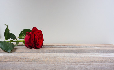 Fresh dar red roses for valantine's day or mothersday or just for a romantic night out on wooden background with copy space for your own text