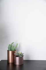Isolated artificial plants copper vases \and standing on black wooden top with white background / interior design / composition background 