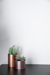 Isolated artificial plants copper vases \and standing on black wooden top with white background /...