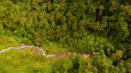 River in the rainforest through the green jungle covered with green forest and palm trees aerial view. River in the green forest. Camiguin, Philippines.