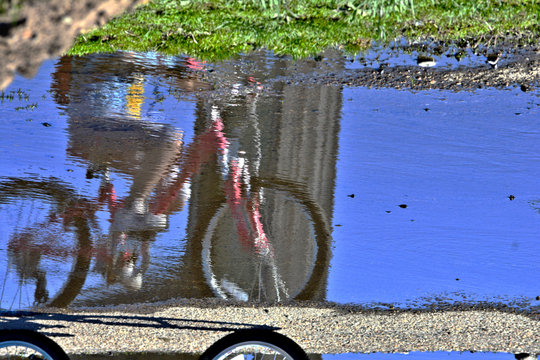 Bicycle reflection in a puddle reversed